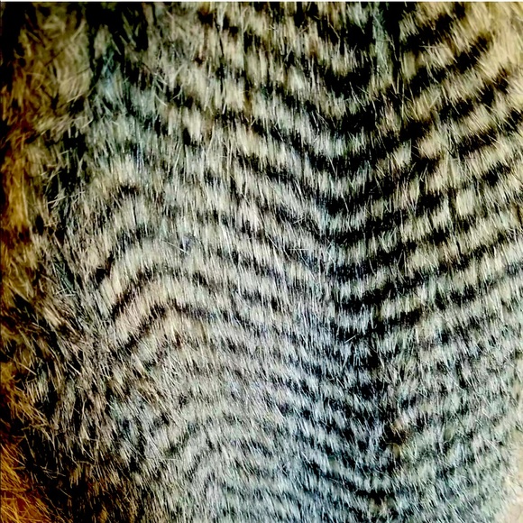 Francesca’s Collection Unique Feathery/Fuzzy  Vintage Boho Jacket - Vest • Large - Picture 2 of 6